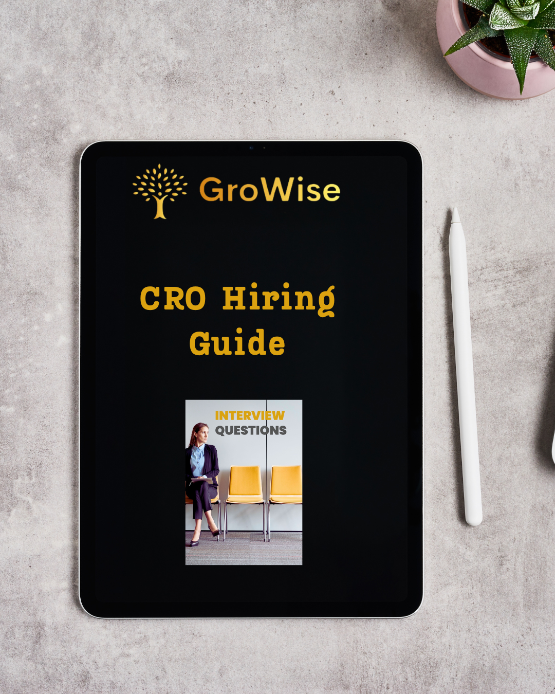 Growise CRO Hiring Guide – The Ultimate Toolkit for Hiring a Chief Revenue Officer
