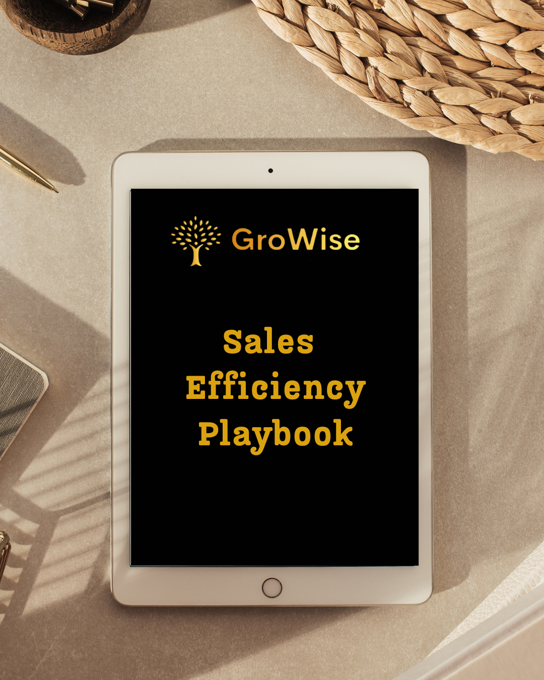 The Growise Sales Efficiency Playbook for Leaders equips sales professionals with tools and strategies to optimize performance and drive growth.