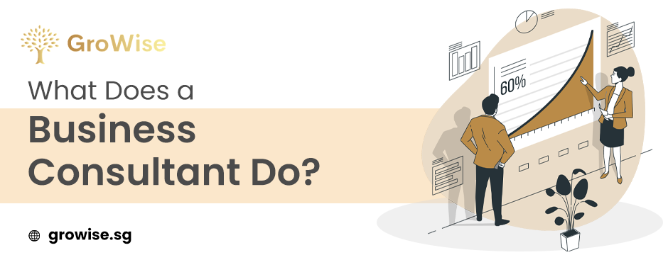 business-consultant-growth-strategy